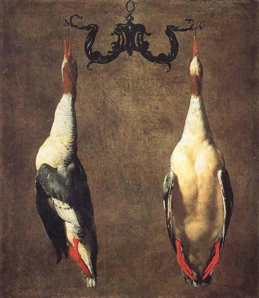 Dandini, Cesare Two Hanging Mallards oil painting picture